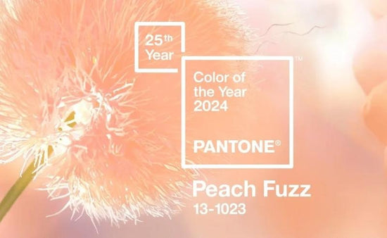 Find Your Shade: 2024's Pantone Color