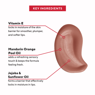Tint Theory Lip Balm key ingredients graphic featuring Vitamin E, Mandarin Orange Peel Oil, Jojoba and Sunflower Oil for hydration.